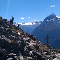 Head in the clouds - walking the Europaweg towards Zermatt & the Matterhorn