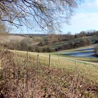 To the Countryside on the London Underground; Walking the Chiltern Hills